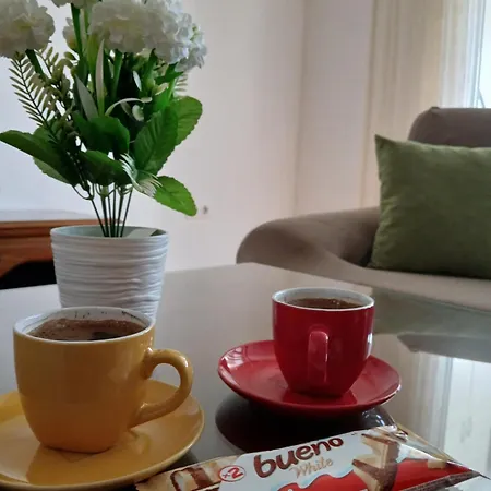 Apartment Borik *